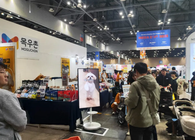 1763716503902111.png image.png